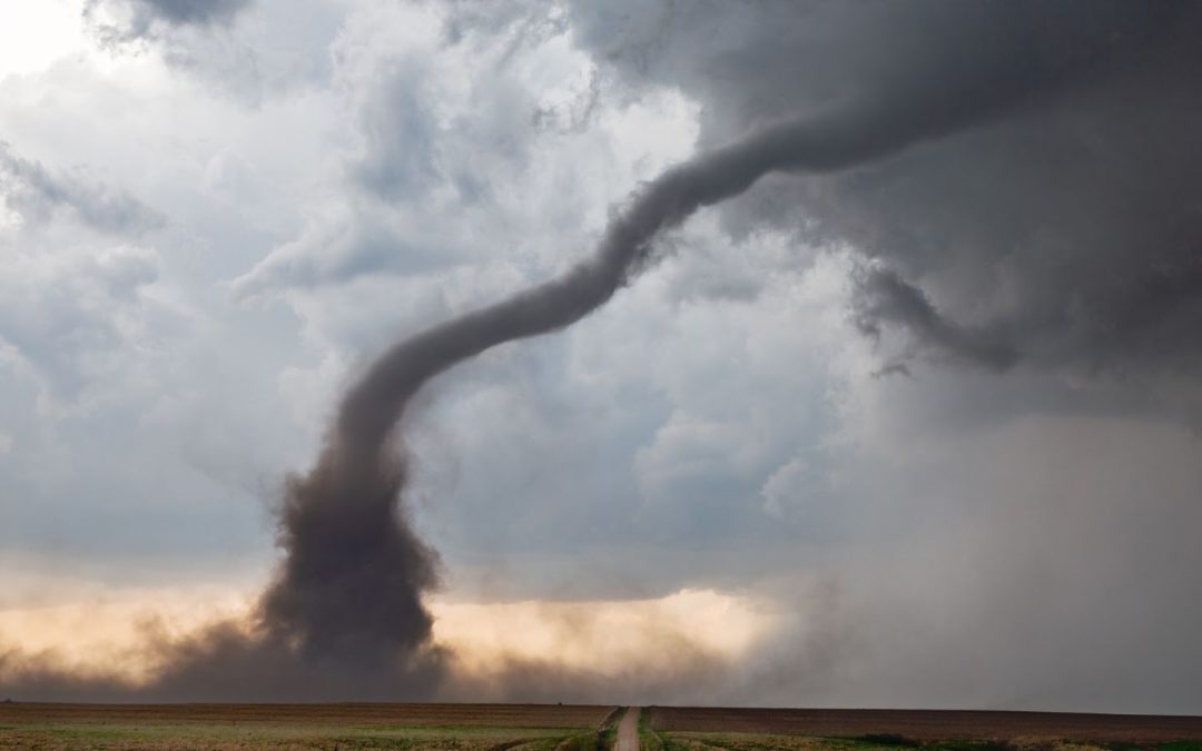 Your Ultimate Guide to Tornado Chasing - Original Oil Paintings, South ...