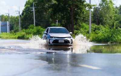 Flood Control Is Managed Through Special Purpose Districts Because: How Special Purpose Districts Make a Difference