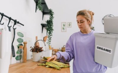 How Should Trash and Recyclables Be Stored Food Handlers – Expert Tips for Hygiene and Compliance