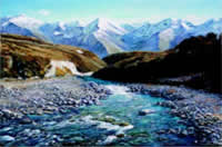 peter caley new zealand artist oil paintings