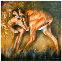south african artist helena fourie oil paintings