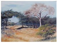 joey kruger oil paintings south african artist