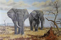 south african artist val odendaal oil paintings