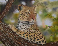 south african artist val odendaal oil paintings