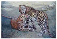 south african artist jo roos paintings