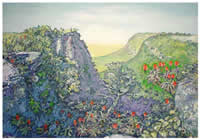 jan van bergen south african artist oil paintings