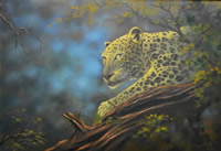 Dane Willers south african artist oil paintings