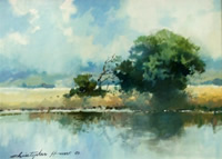 south african artist Christopher Haw paintings