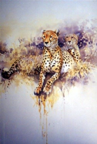 south african artist Susan Orpen paintings